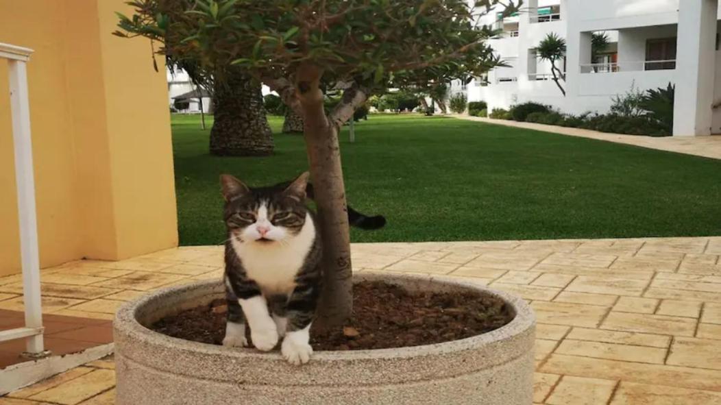 Casa En Urb. Con La Piscina Mas Grande De Javea. Eksteriør bilde